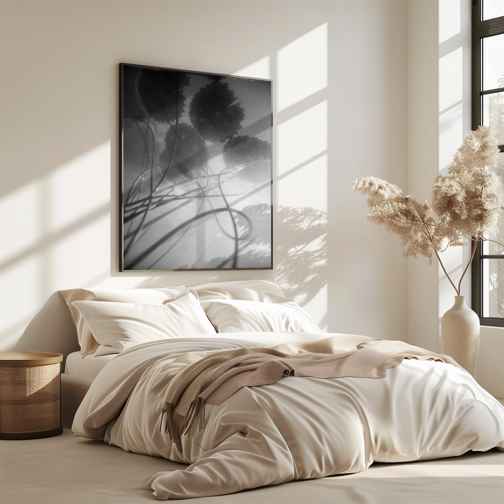 Water Lilly | Poster