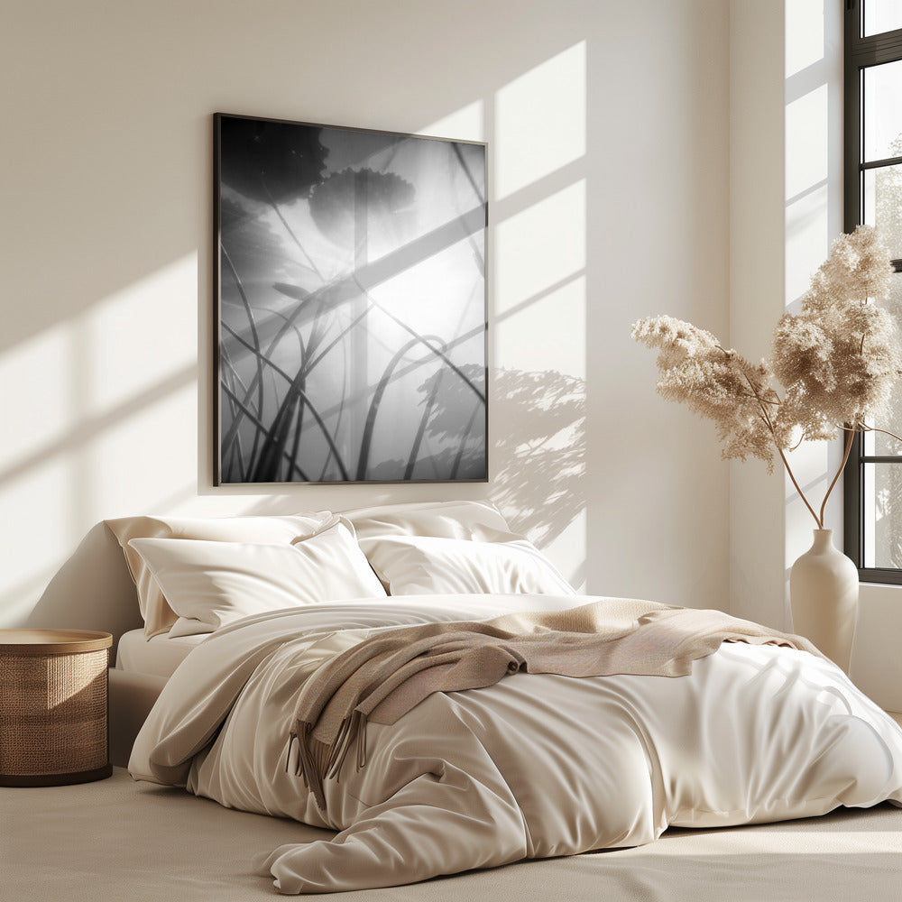 Water Lilly | Poster