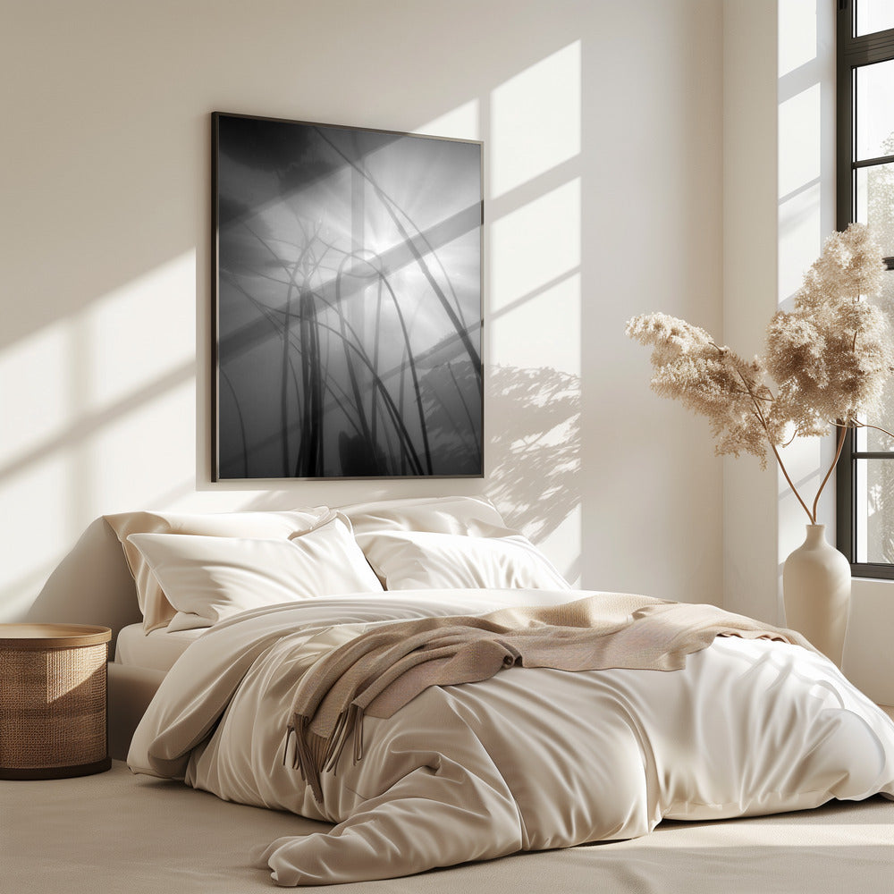 Water Lilly | Poster