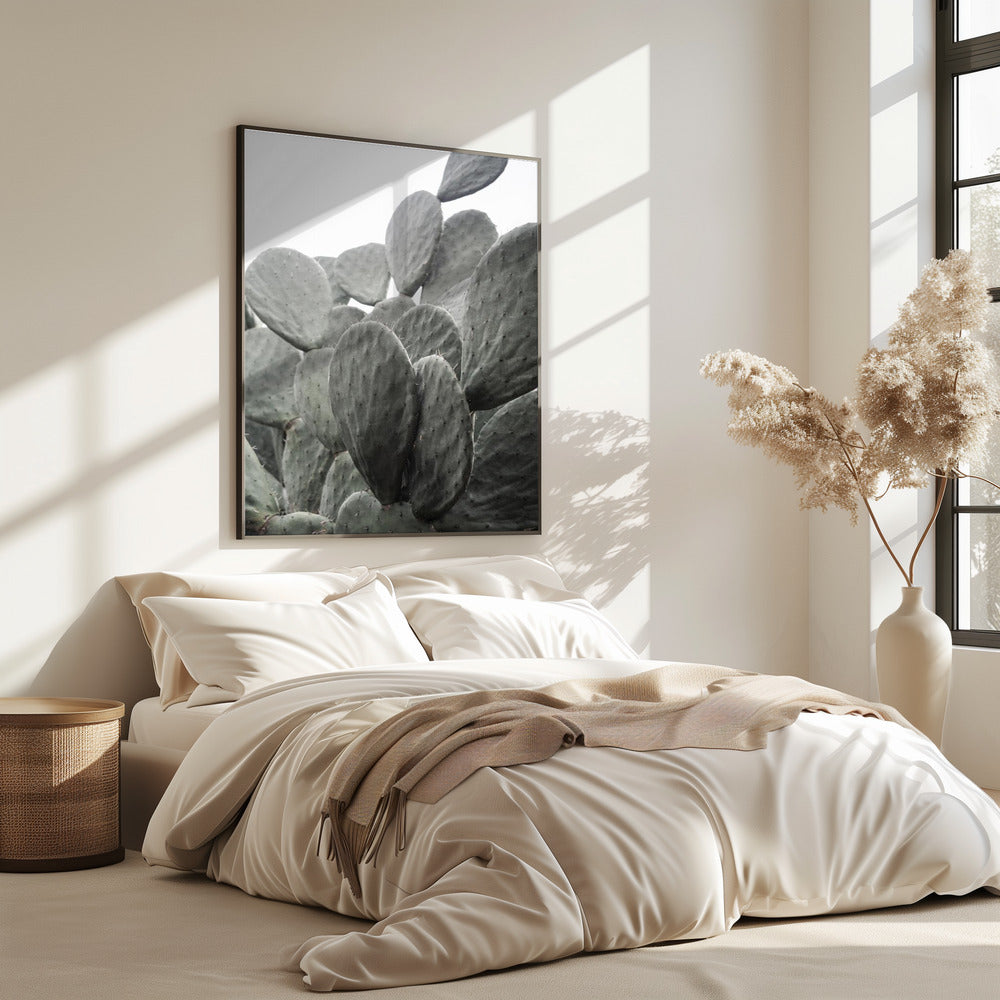 Beauty Of Cactus | Poster