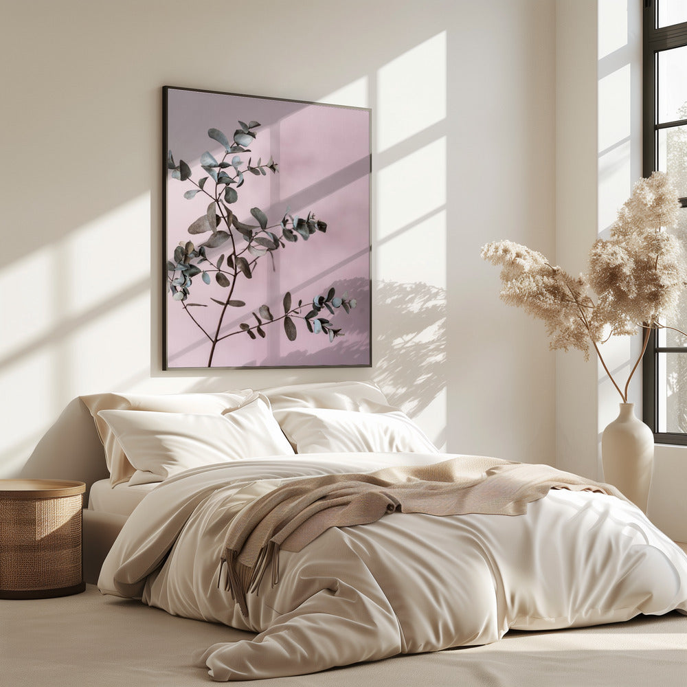 Eucalyptus 12 | Poster