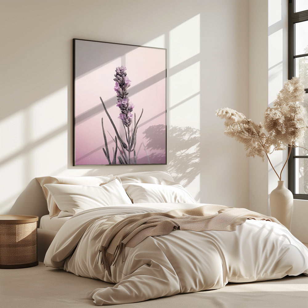 Lavender Dreams | Poster