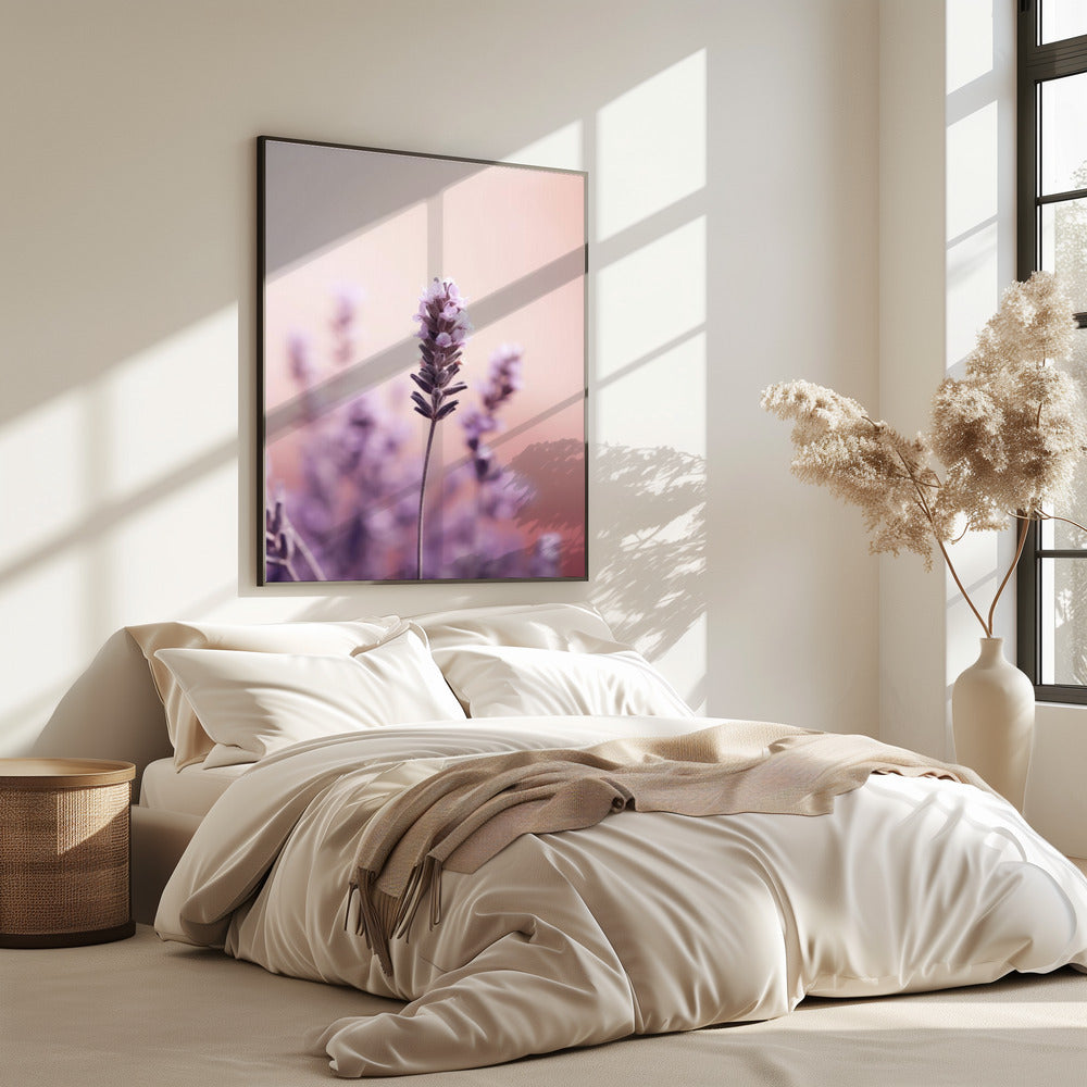 Lavender Serenity | Poster