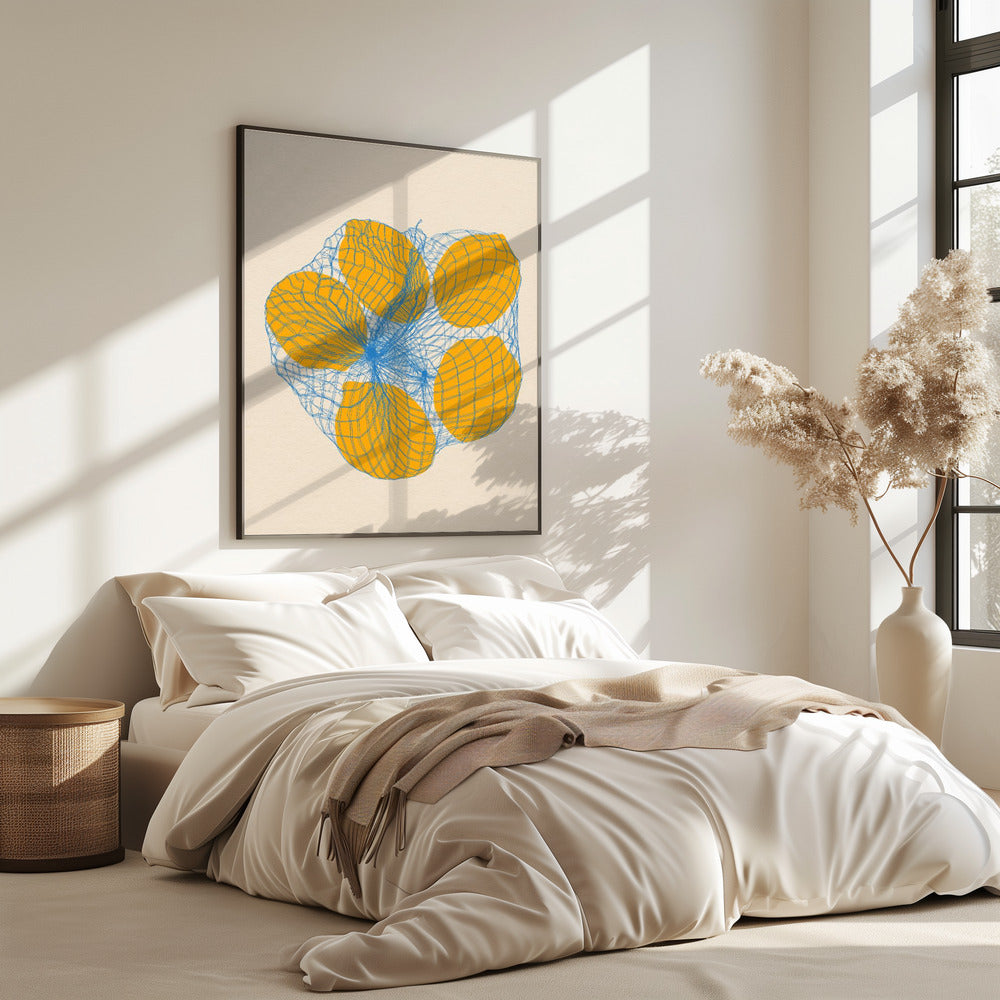 Five Lemons In a Net Bag | Poster
