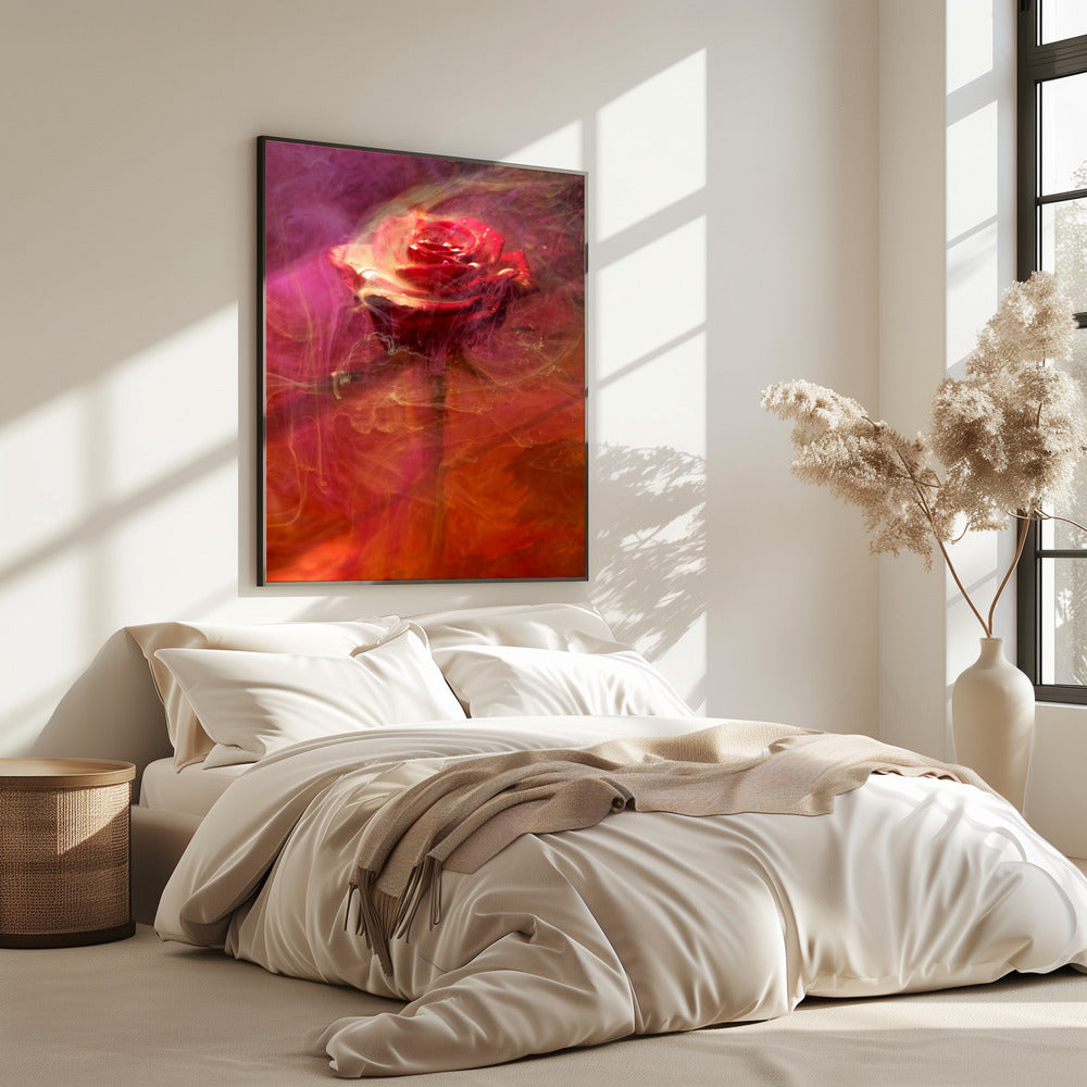 red rose and ink in water | Poster