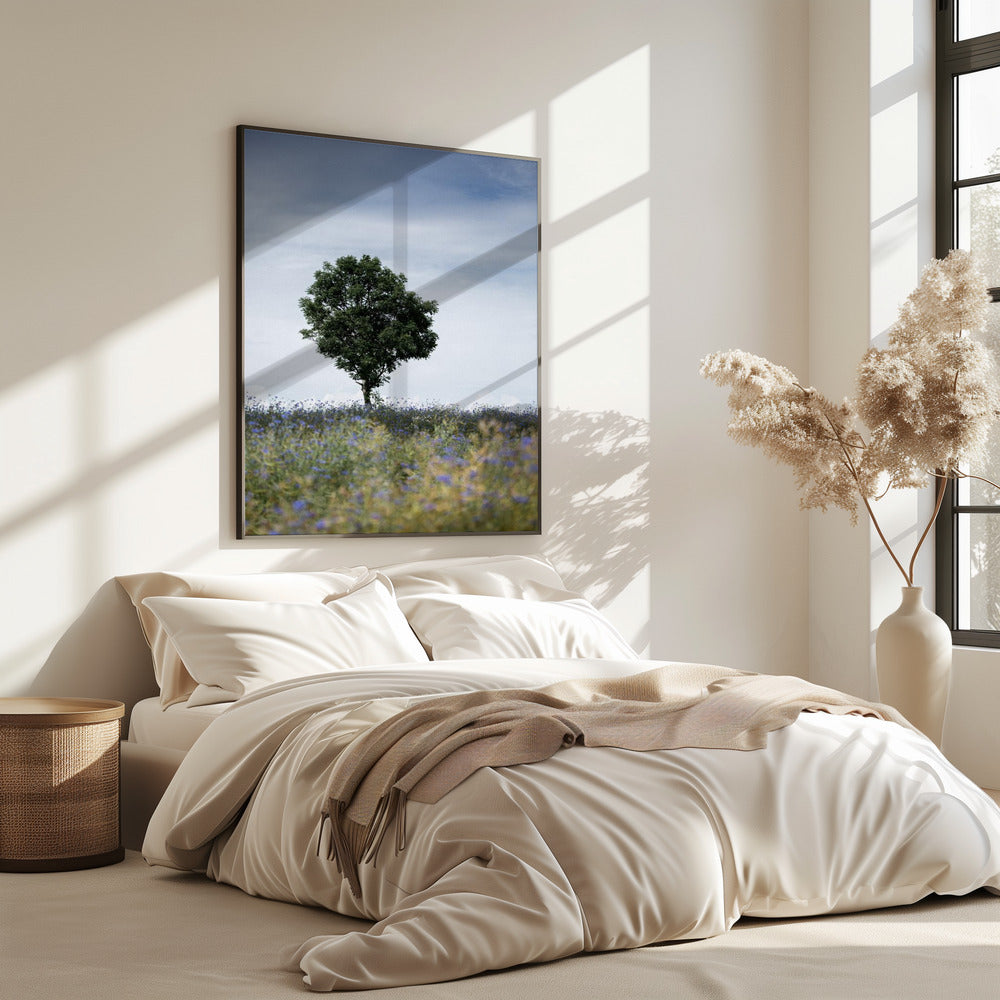 Summer Meadow | Poster