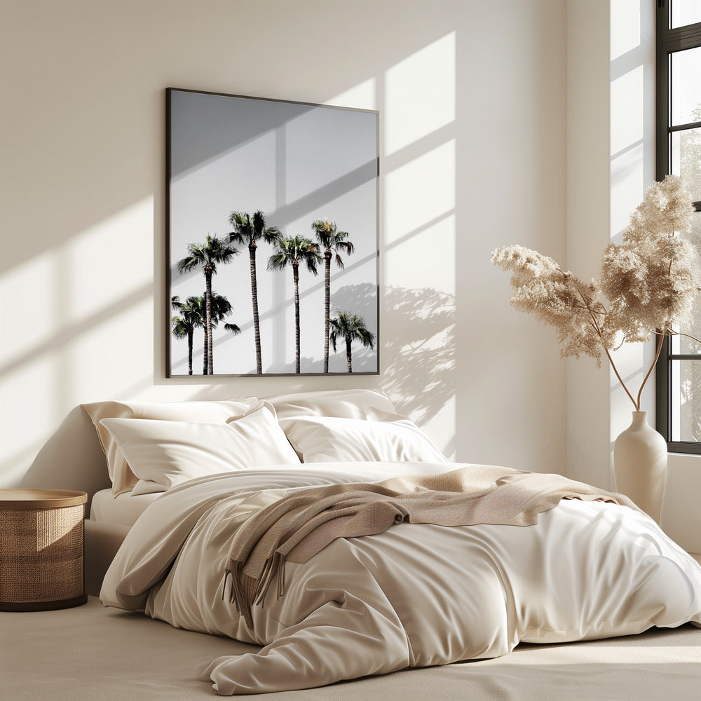 Palm Trees 5 | Poster