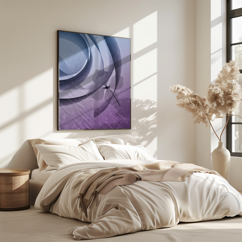 Hydrangea | Poster