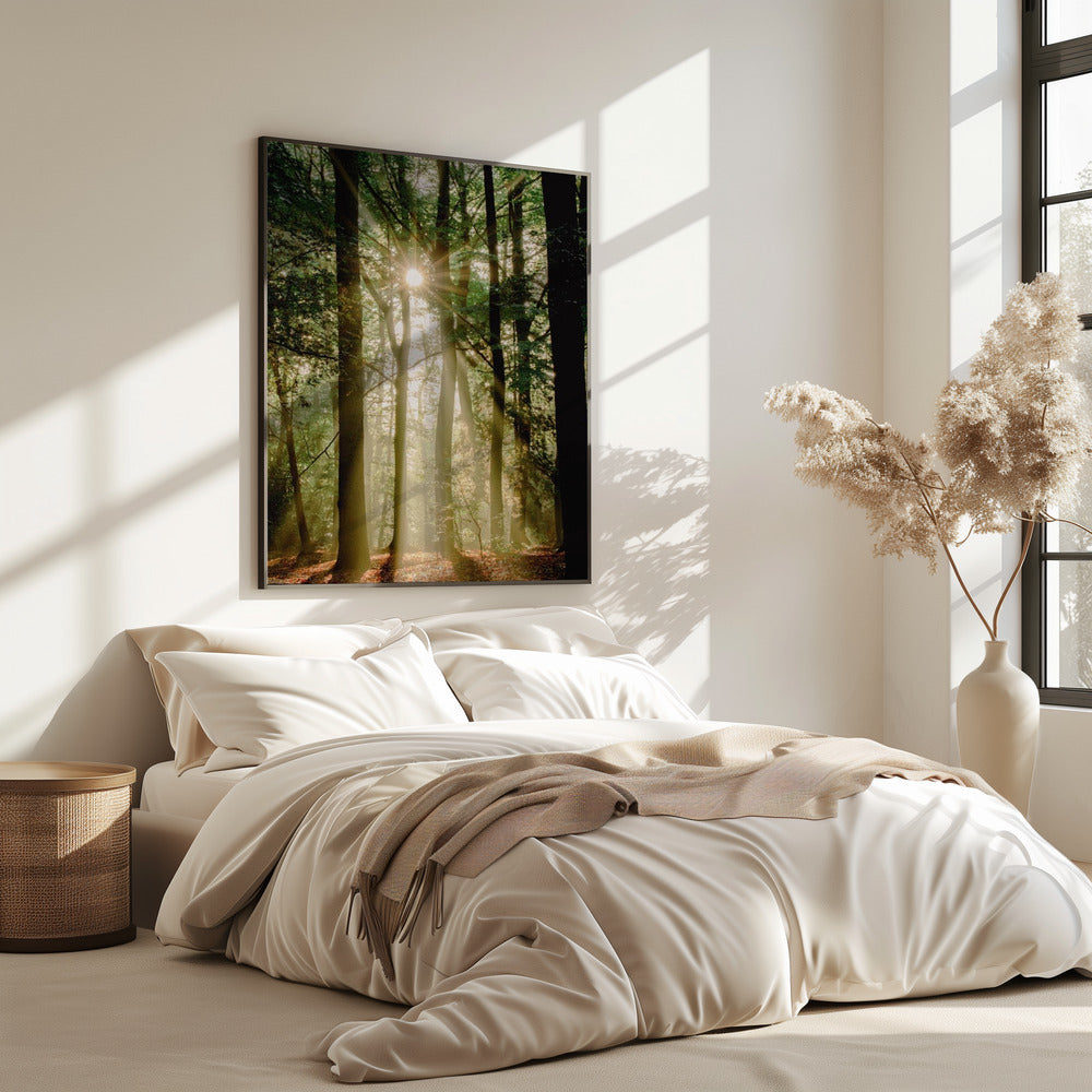 Sunbeams through the forest | Poster