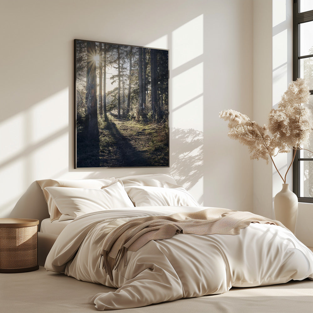 Dsf2913 Hdr 1 | Poster