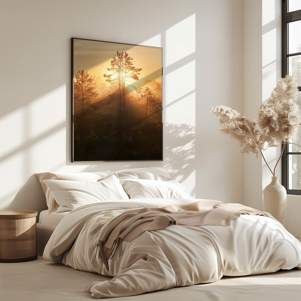 20220809  Dsf8009 Hdr 1 | Poster