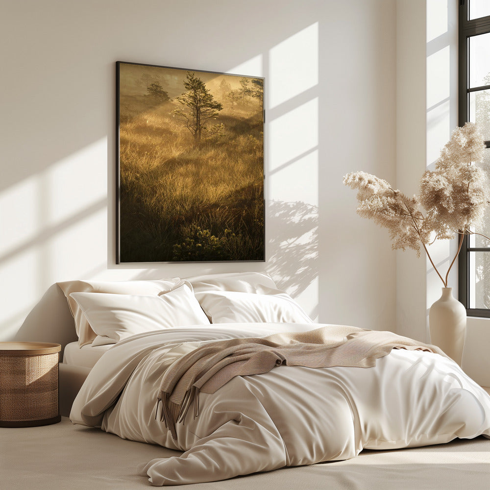 20220809  Dsf8033 | Poster