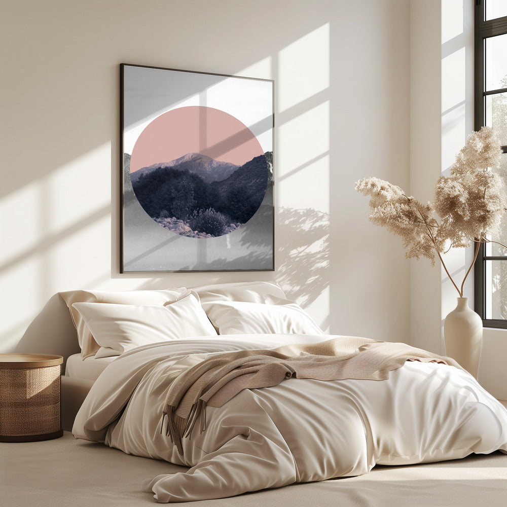 Shapes In Nature II | Poster