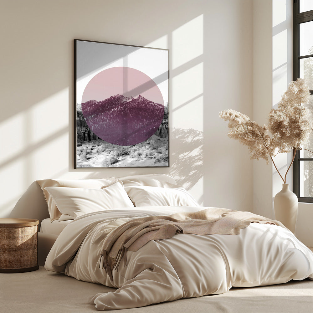 Shapes In Nature I | Poster