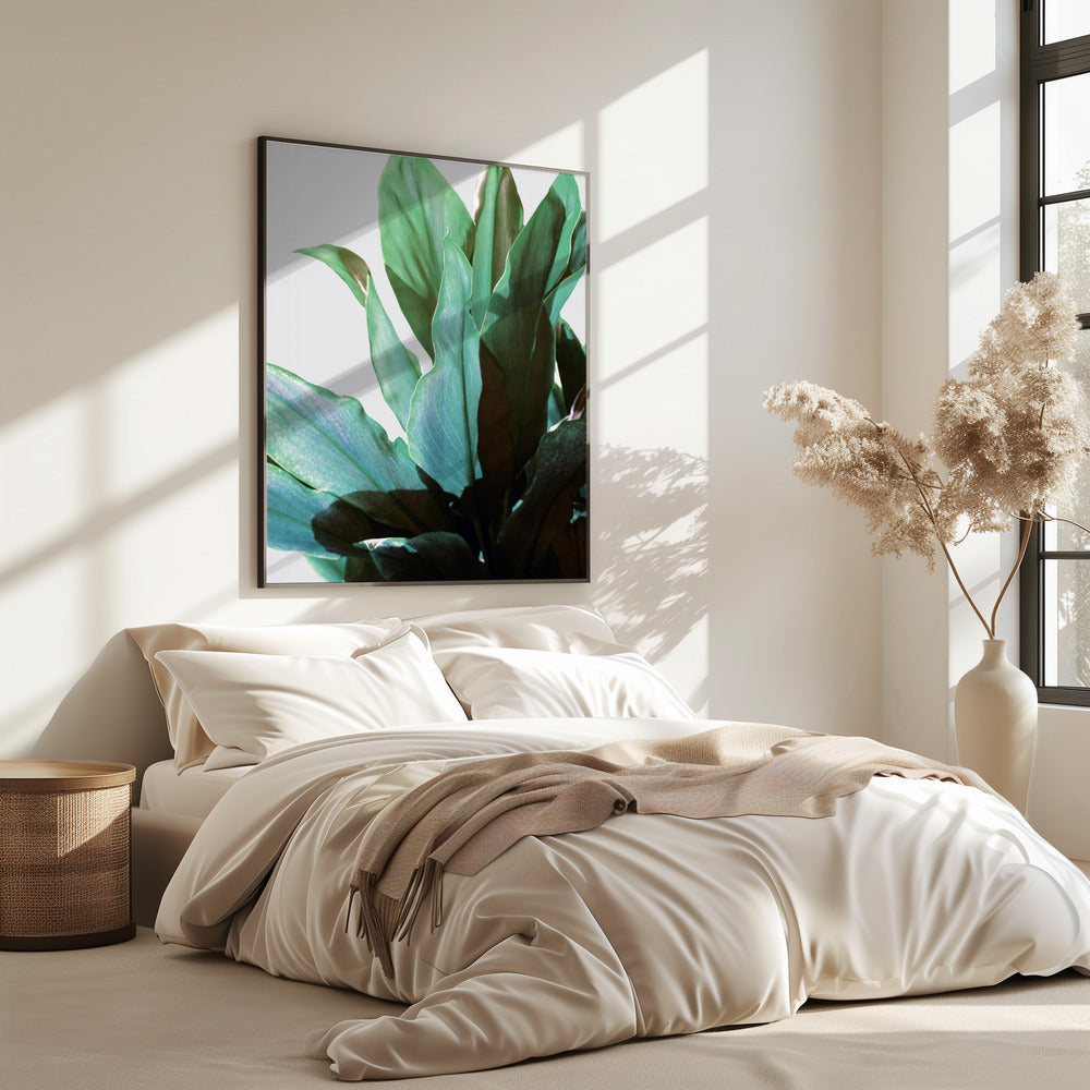 Green Leaves | Poster