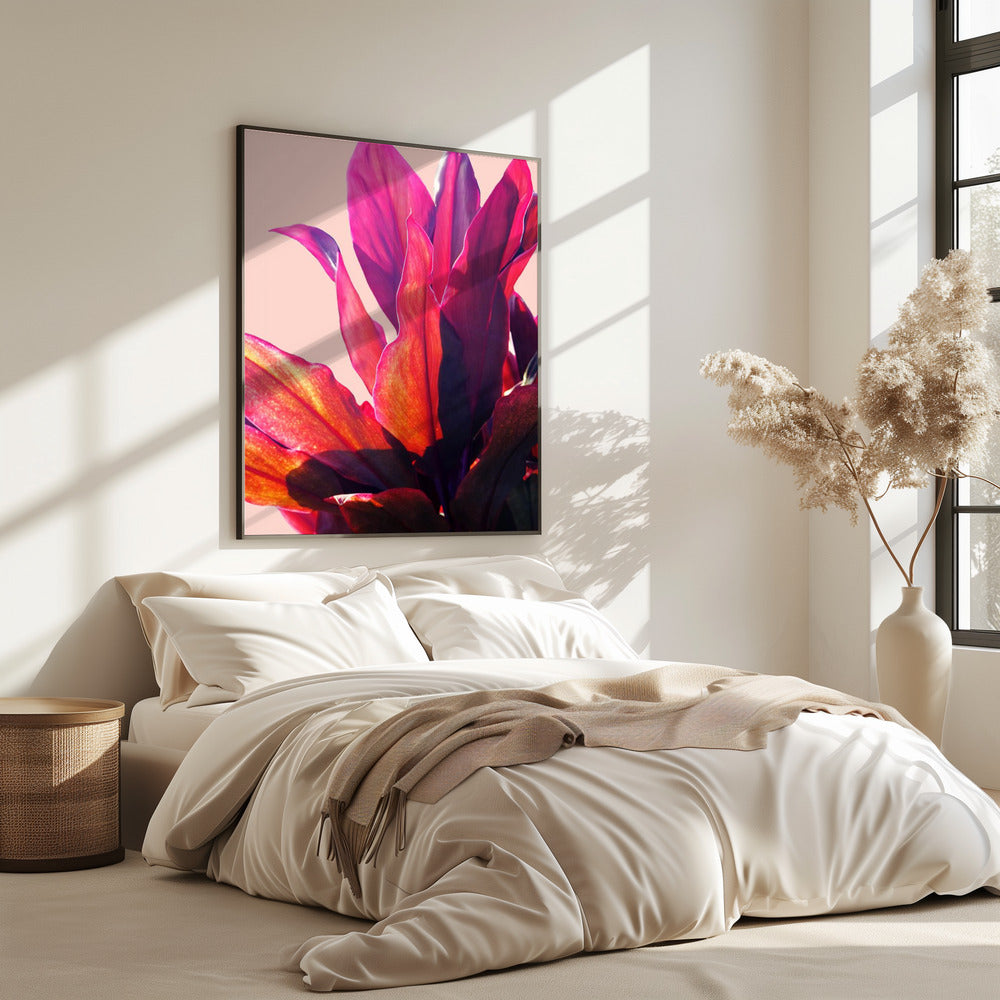 Fuchsia Leaves II | Poster