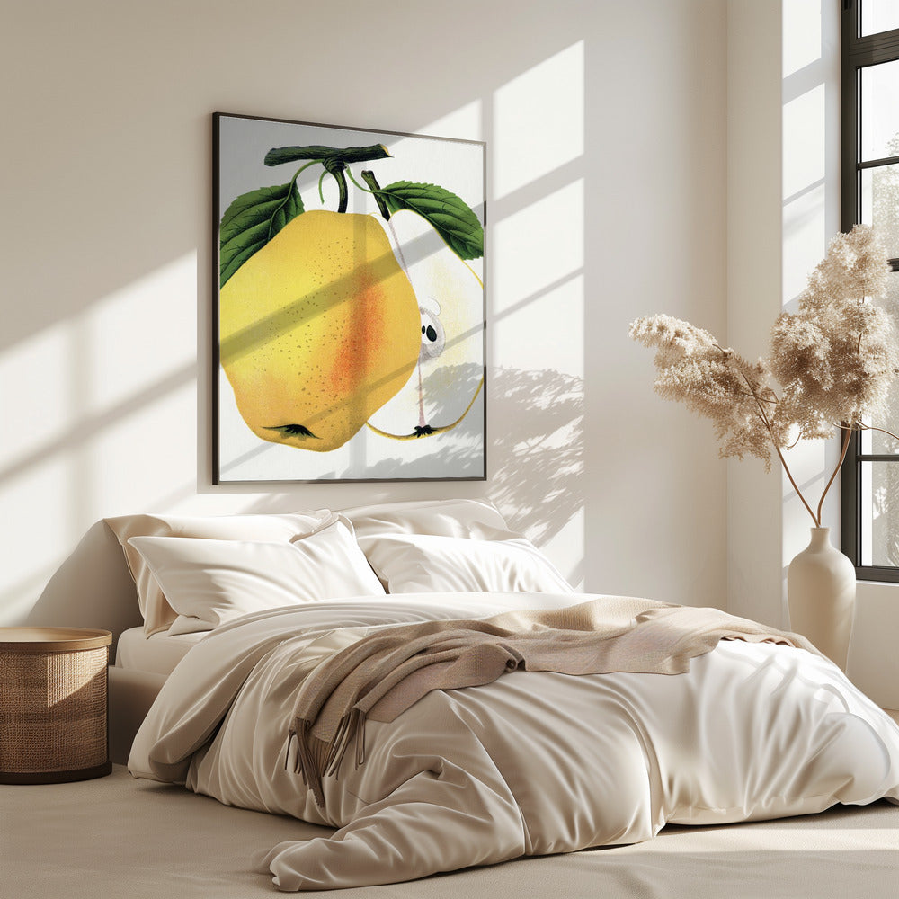 Kiefer's Hybrid Pear Lithograph | Poster