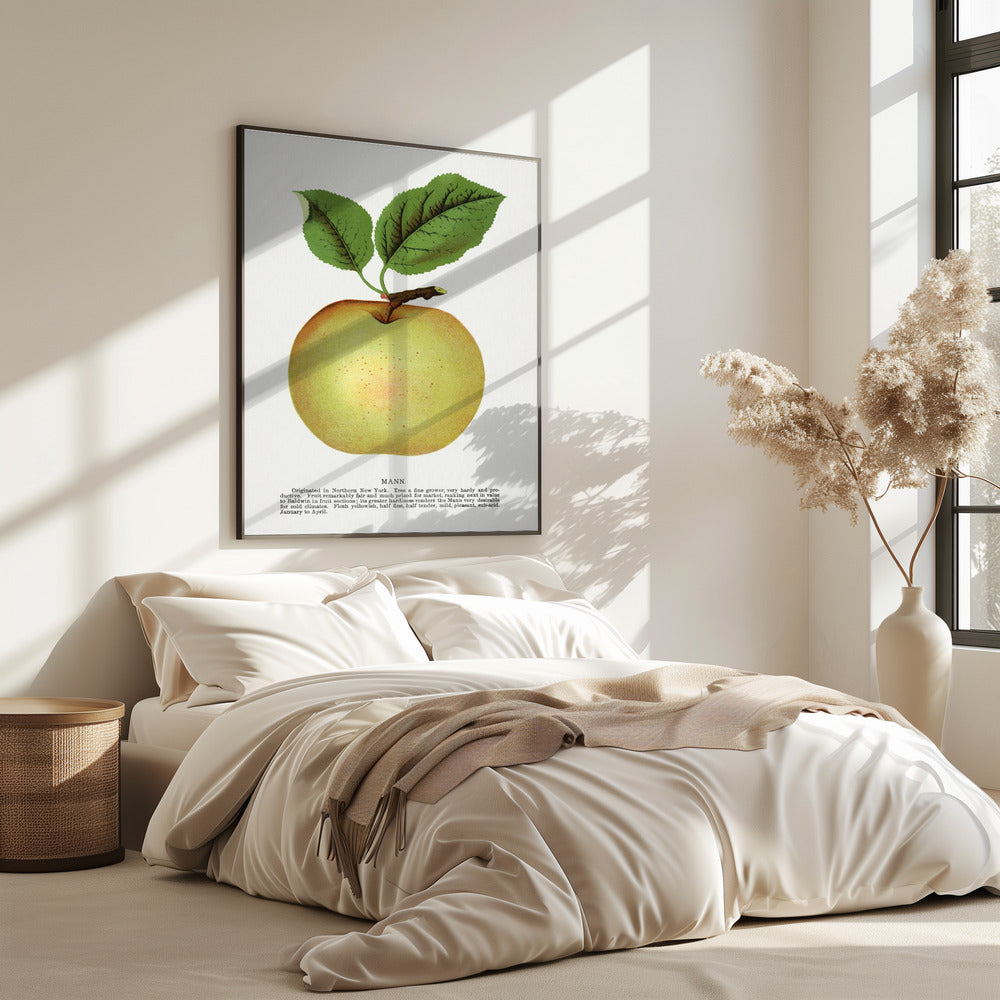 Mann Apple Lithograph | Poster