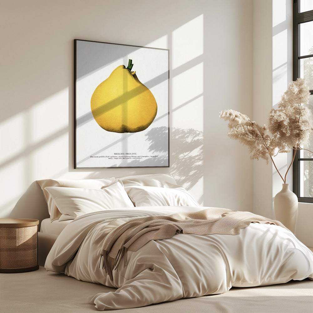 Meech's Prolific Pear Lithograph | Poster