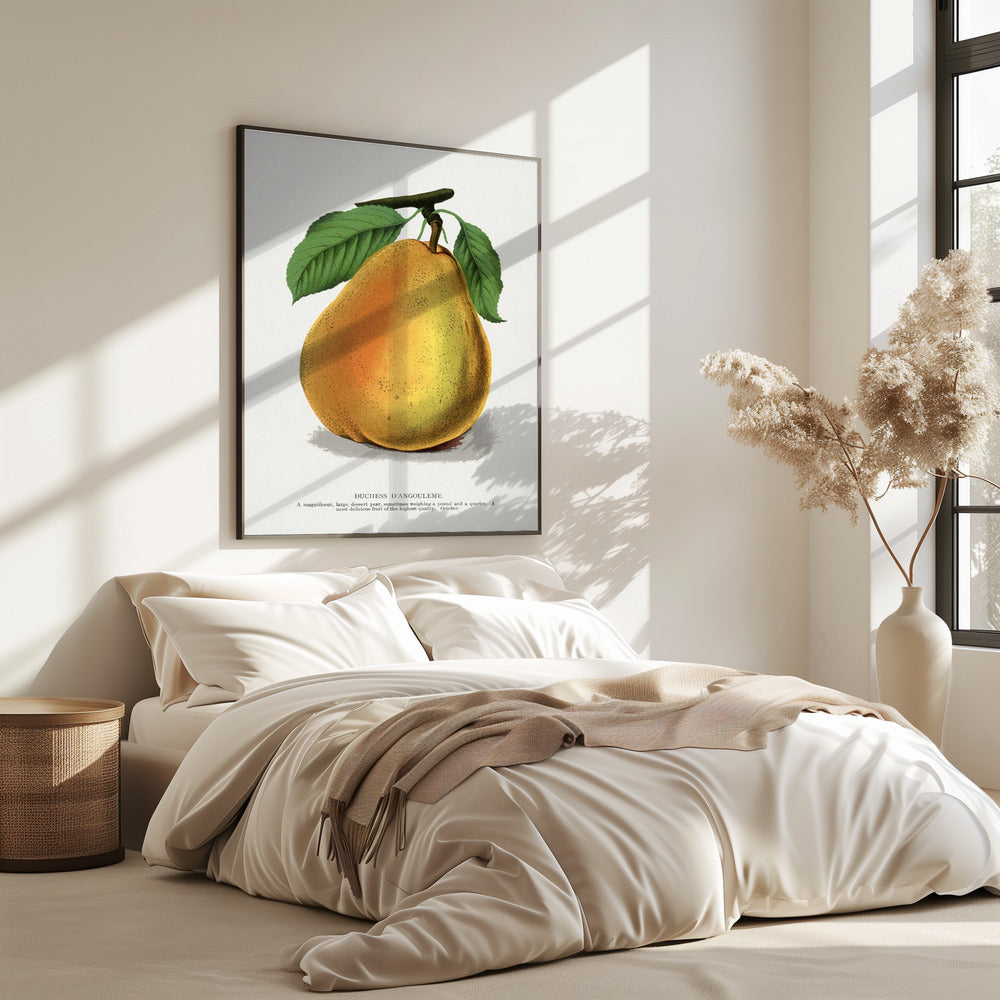 Duchess D'angouleme Pear Lithograph | Poster