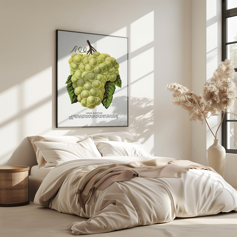 Green Mountain Grape Lithograph | Poster