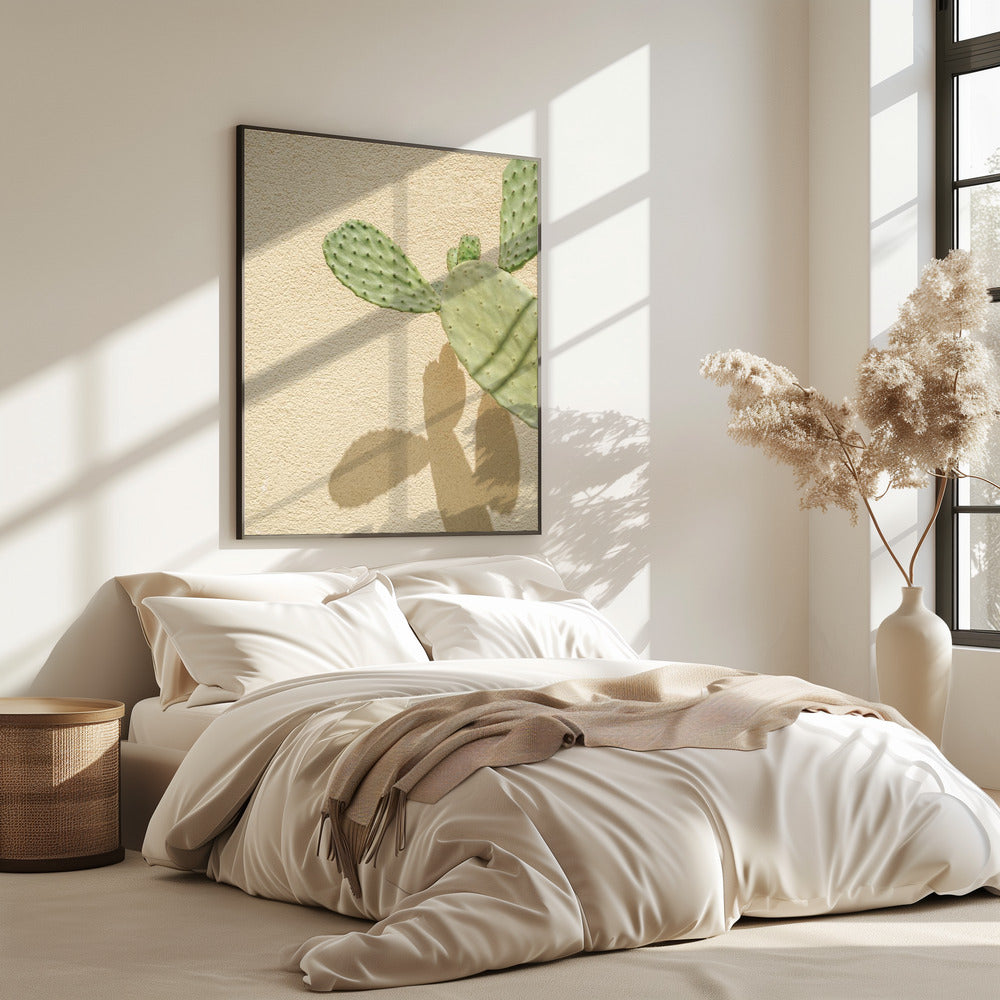 Cacti Shadowplay | Poster