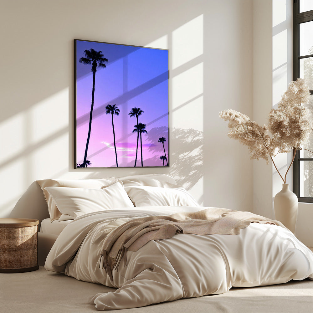 Palm Tree Sunset | Poster