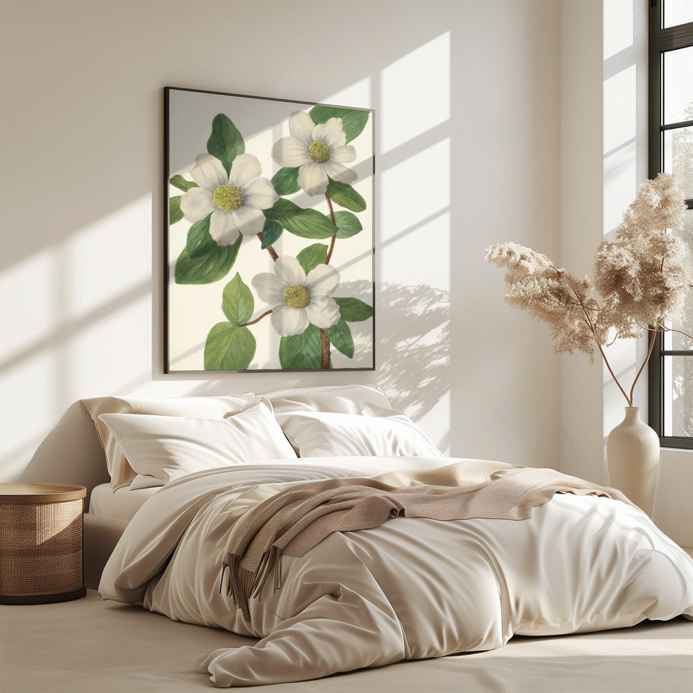 Pacific Dogwood | Poster