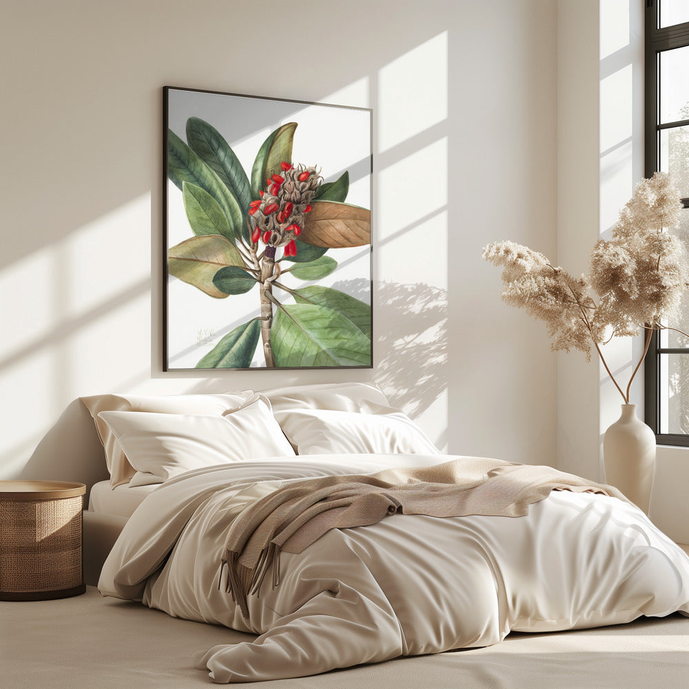 Southern Magnolia (1923) | Poster