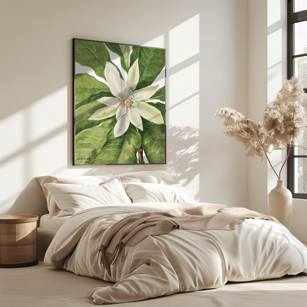 Umbrella Tree (1932) | Poster