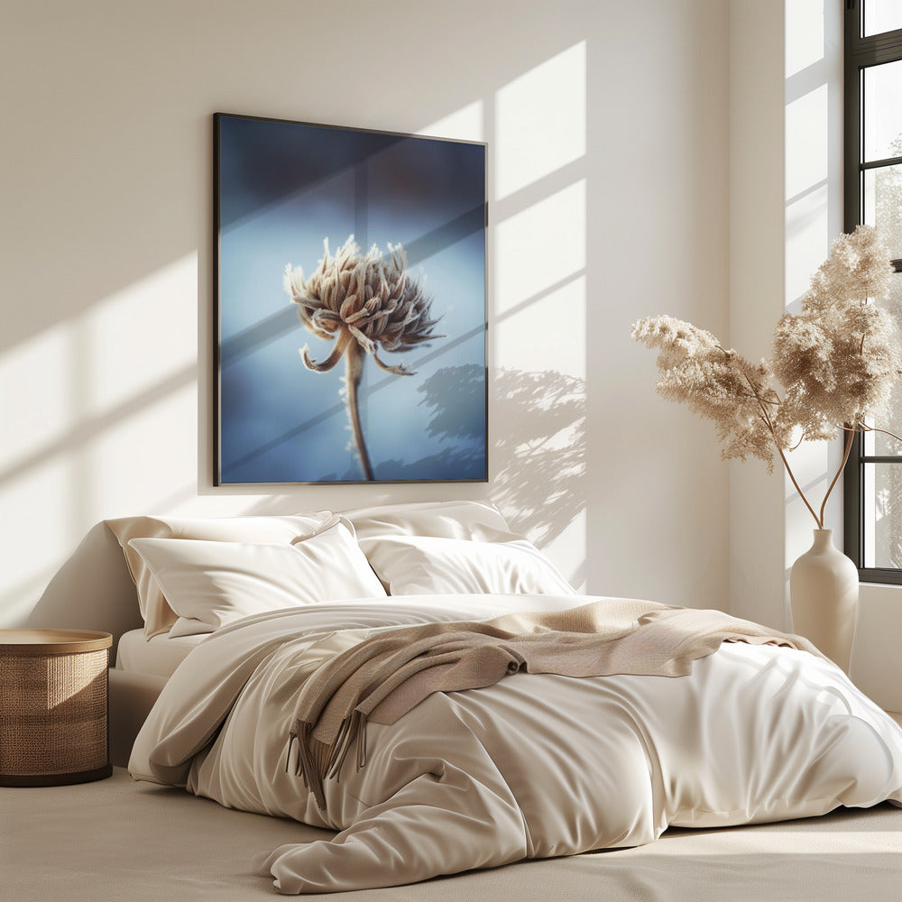 Frosted Blossom | Poster