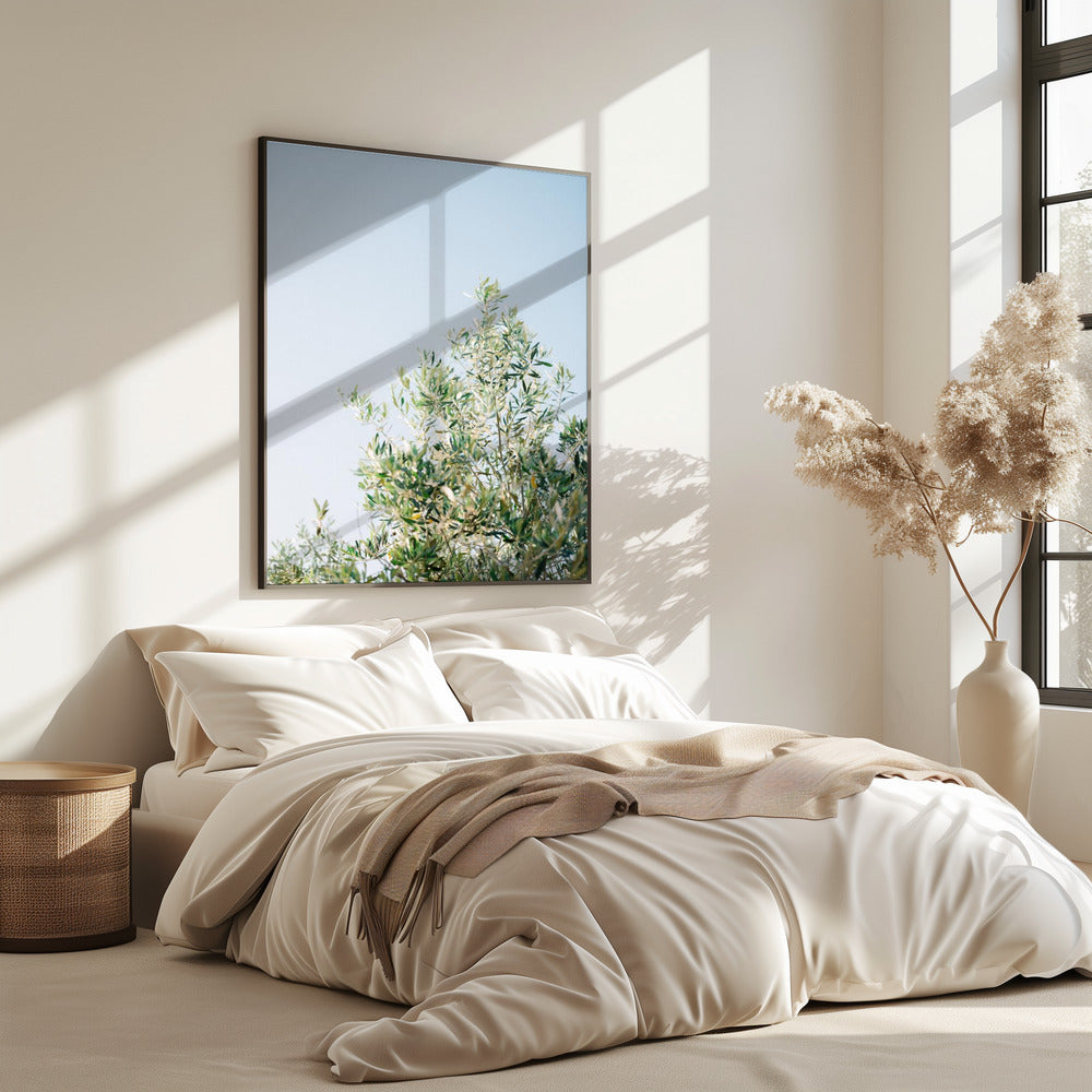 Olives In Ostuni | Italy Travel Photography | Poster