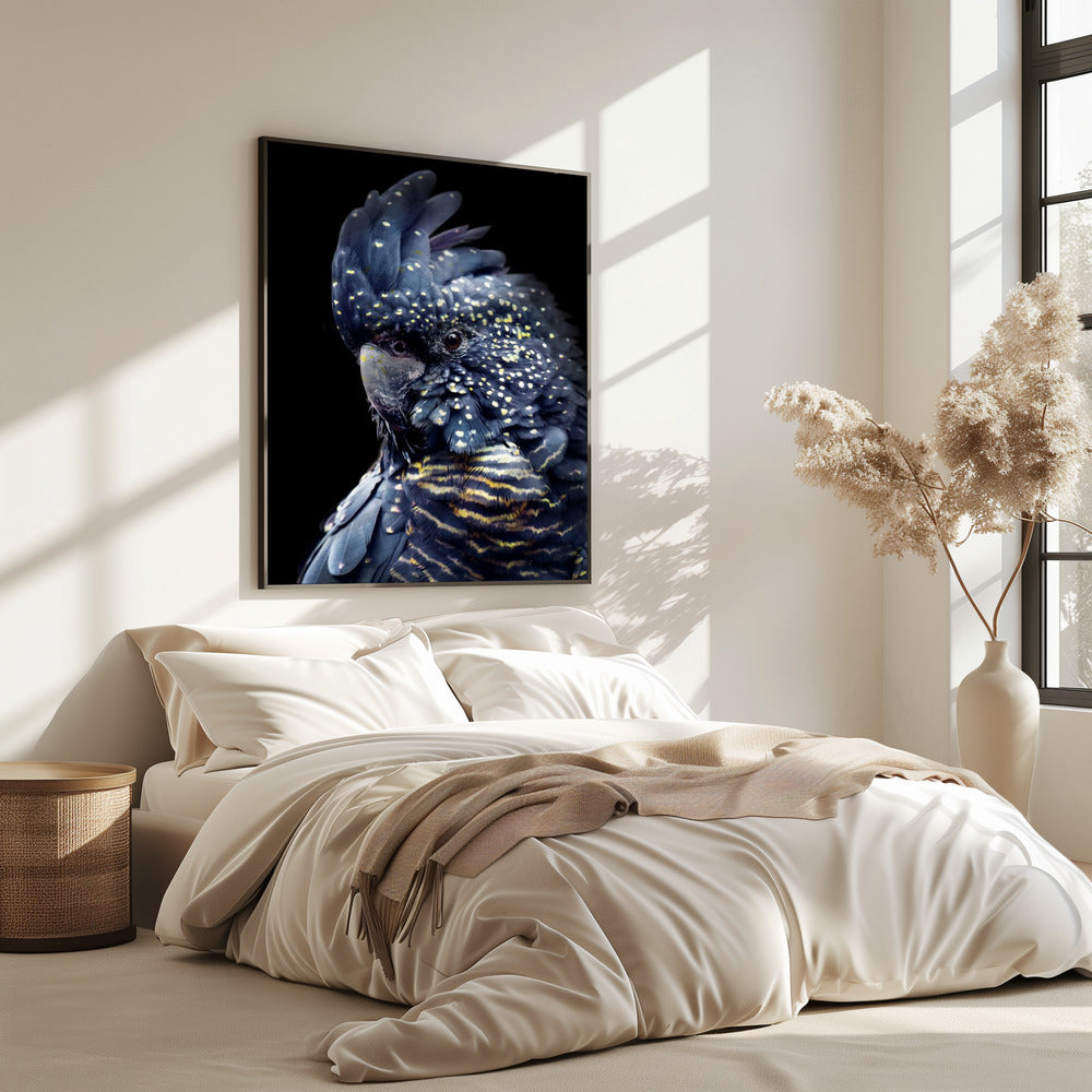 Blackcockatoo2 | Poster