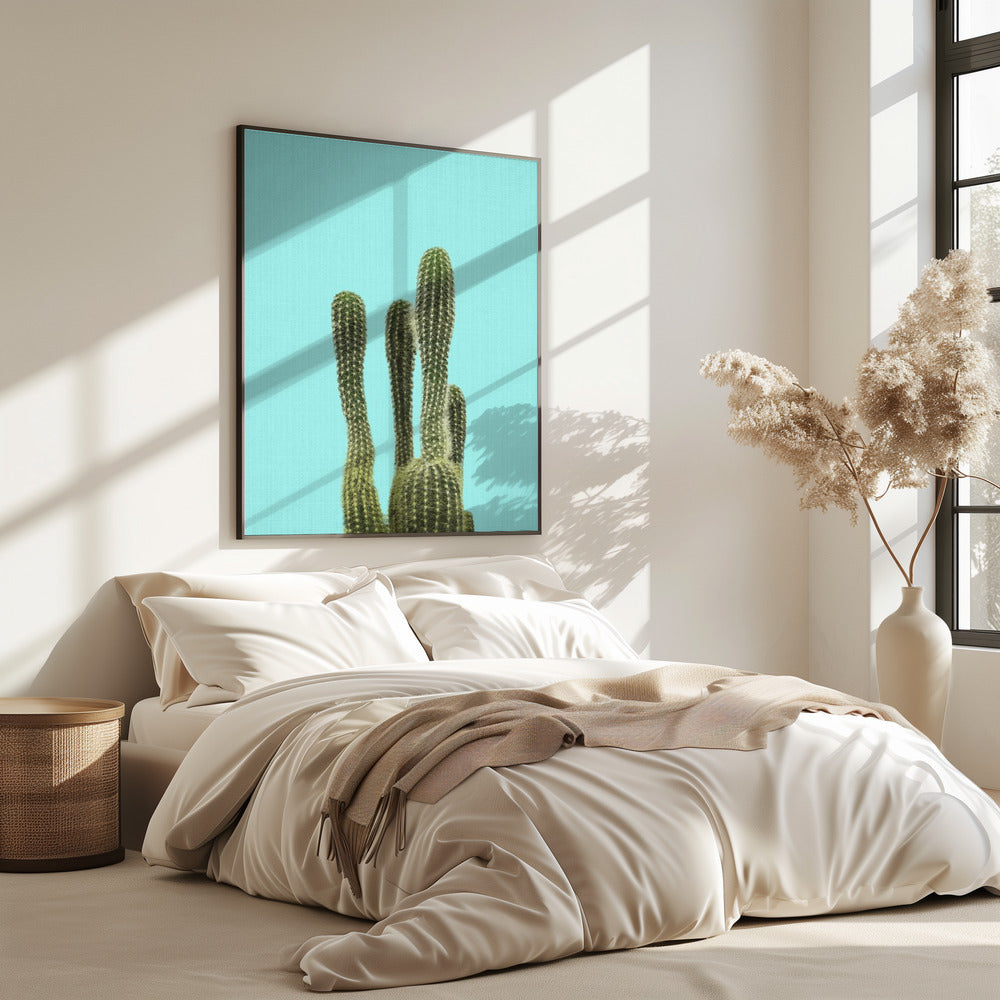 Turquoise Cactus | Poster