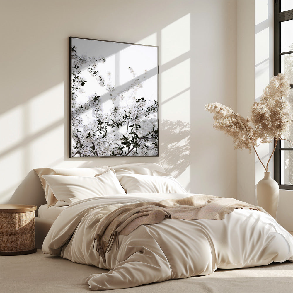 White Spring Tree 3 | Poster