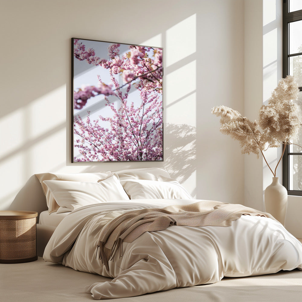 Colorful Spring 11 | Poster