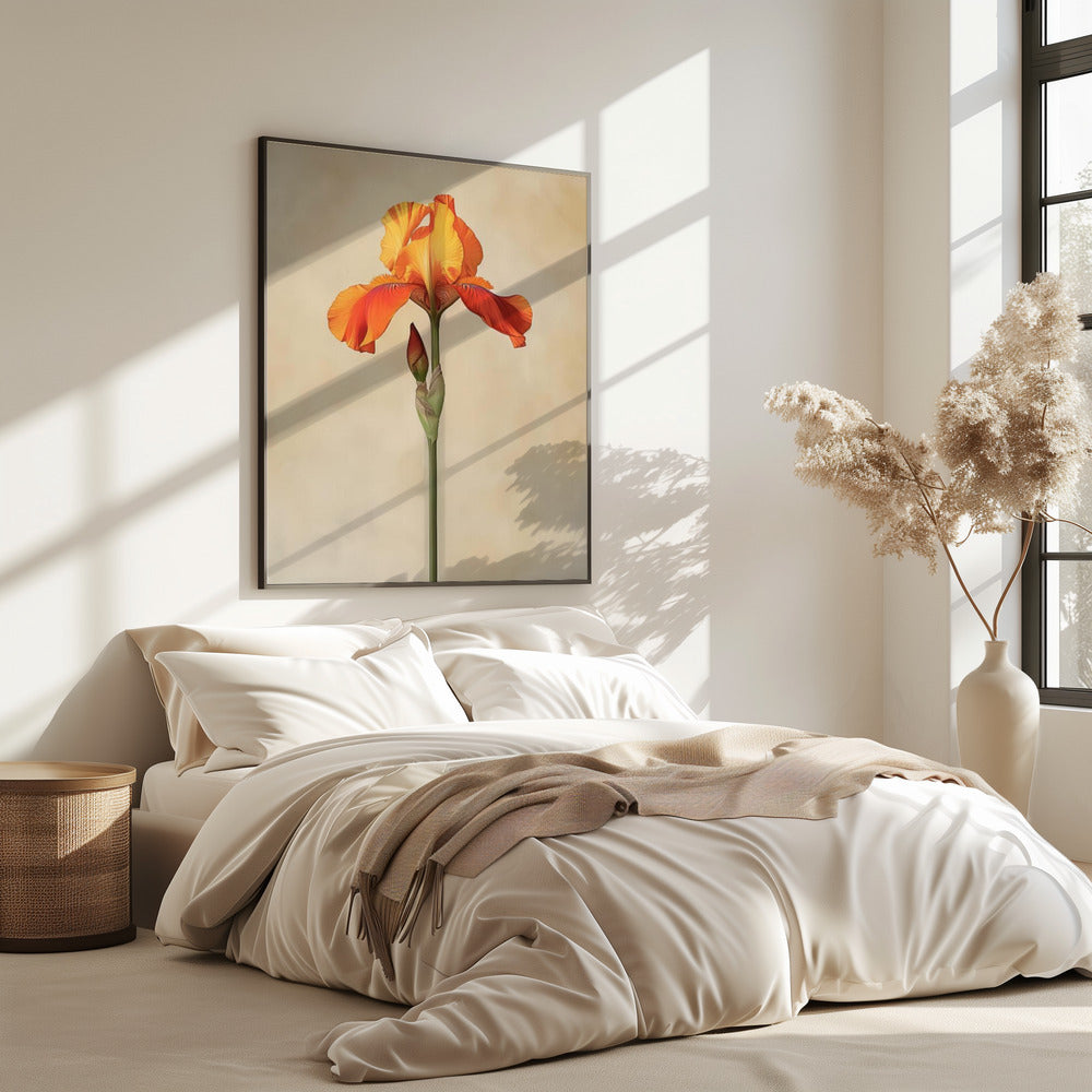 Poster Canvas Sng Iris 34 | Poster