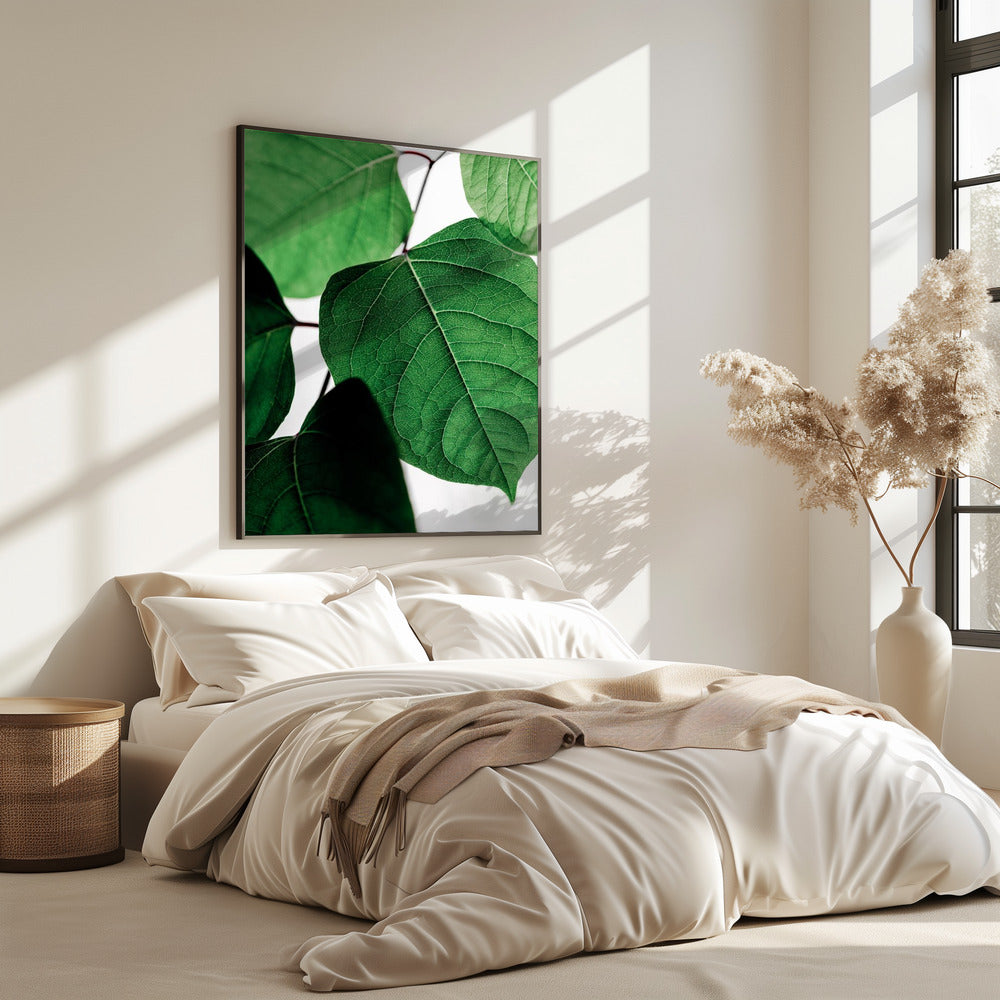 Summer Branches 2 | Poster