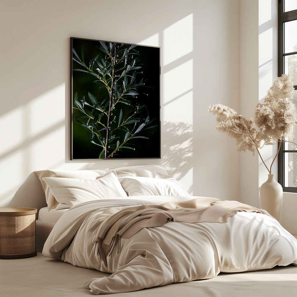 Winter Branches 6 | Poster