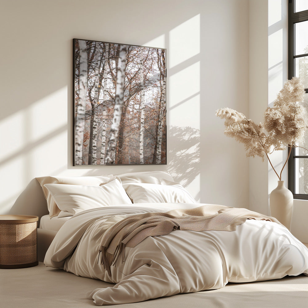 Birch Trees 6 | Poster