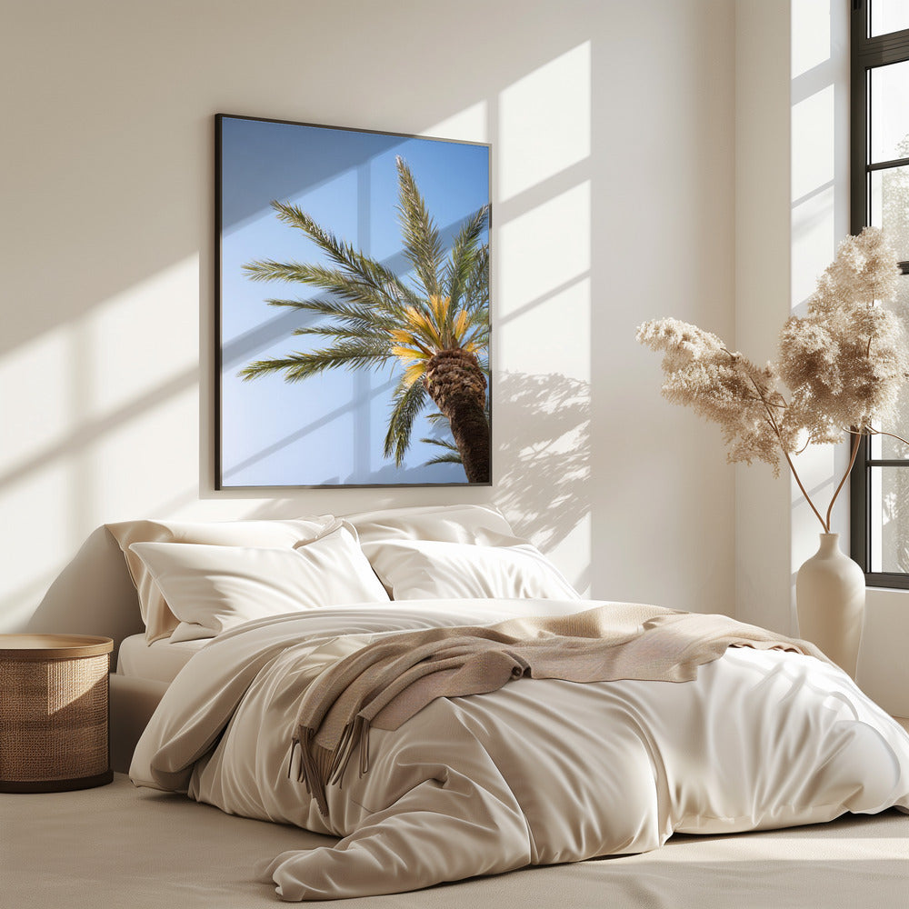 Vejer de La Frontera Palm Tree | Poster