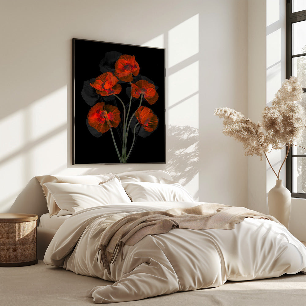 Glaceful Red Poppy | Poster