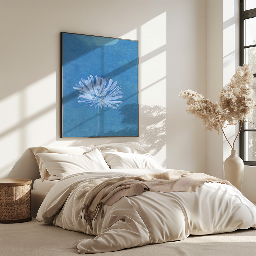 White Flower On Blue Background | Poster