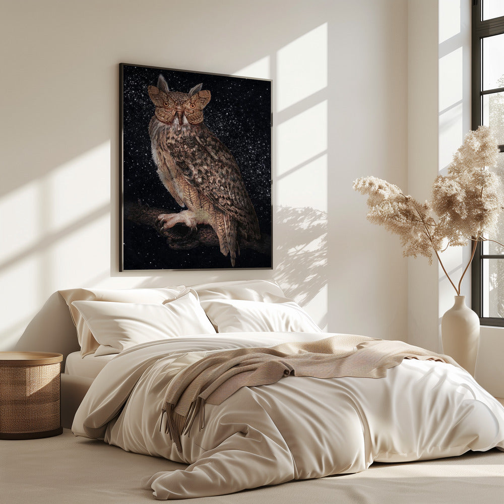 Camouflage and Stars Colour | Poster