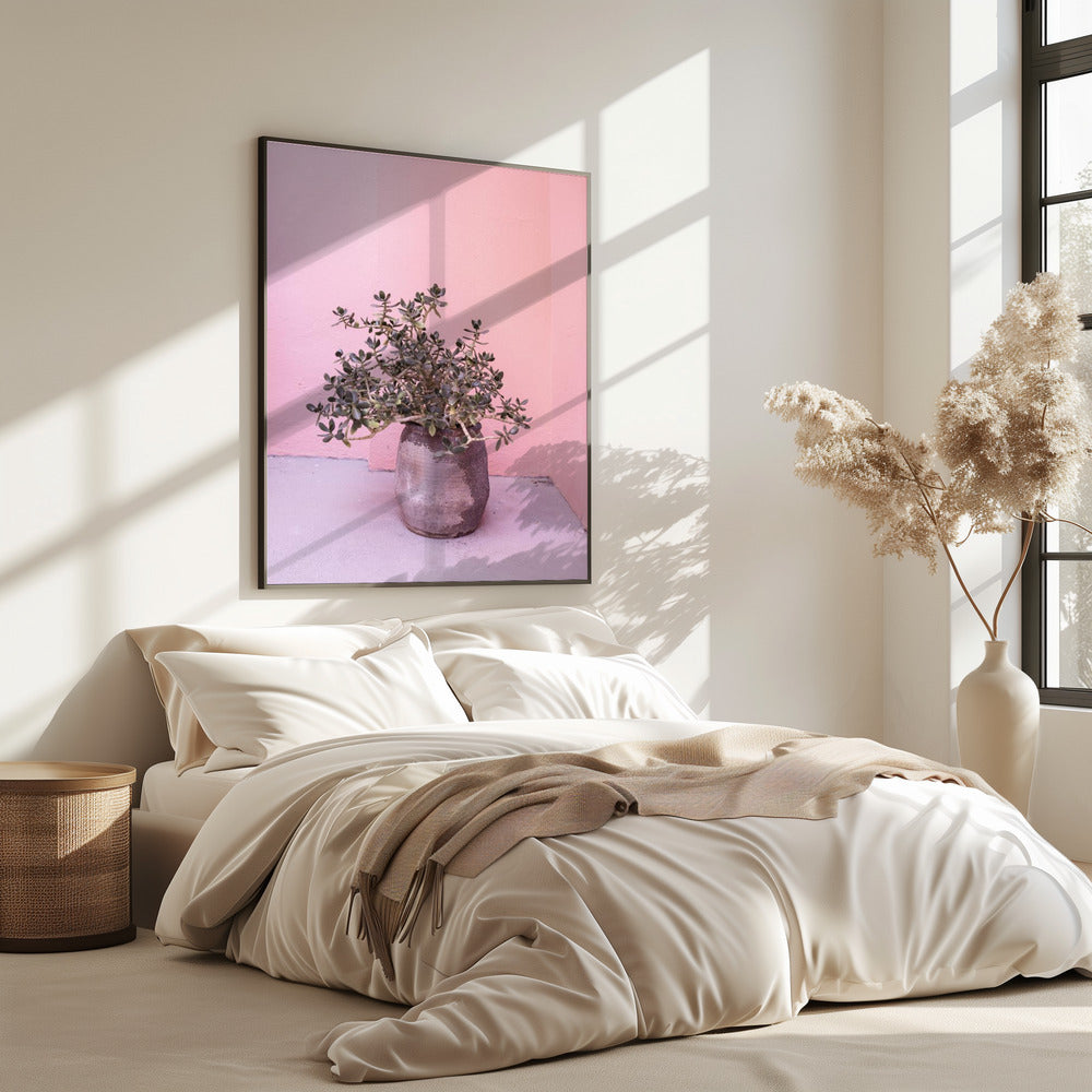 Spanish Rustic Succulent | Poster