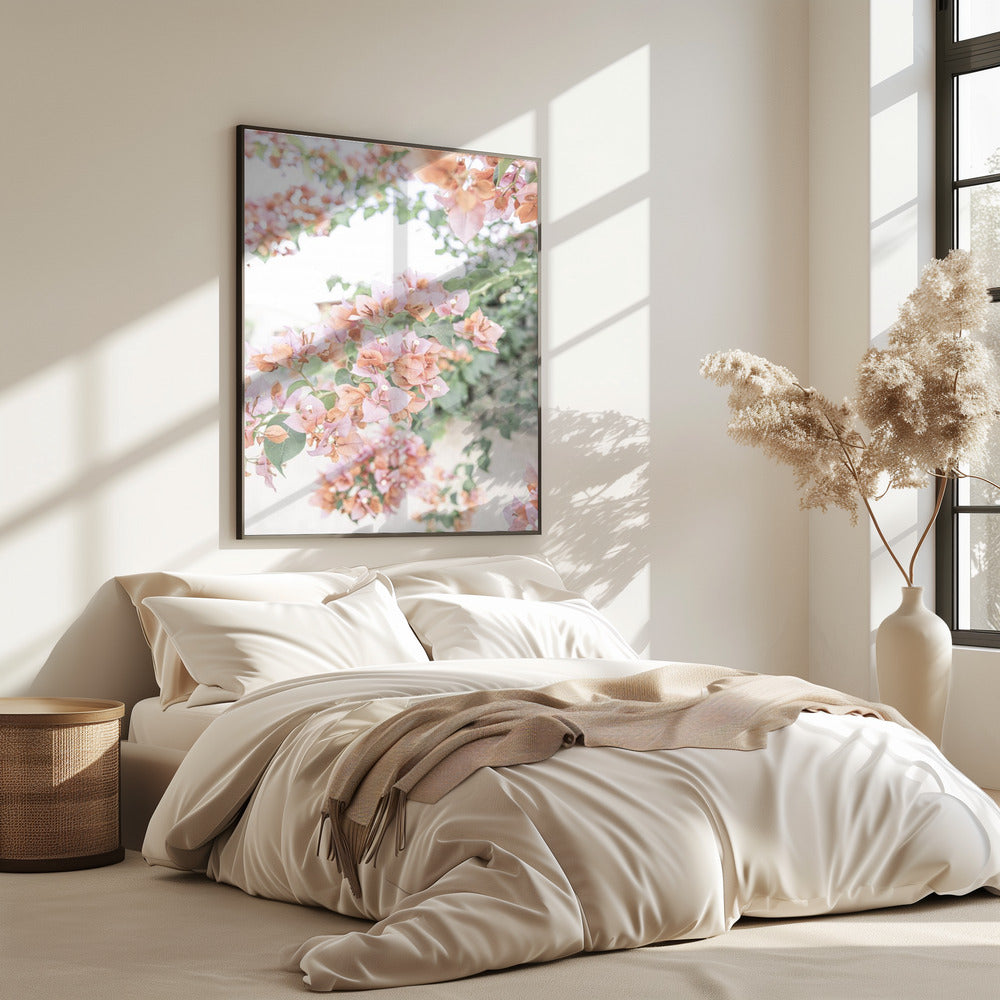 Peach Bougainvillea | Poster