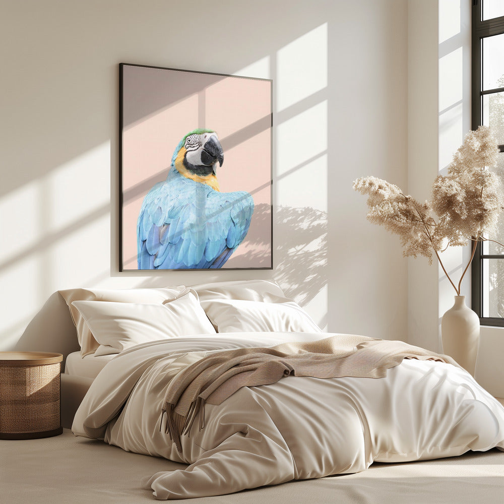 Blue Macaw | Poster