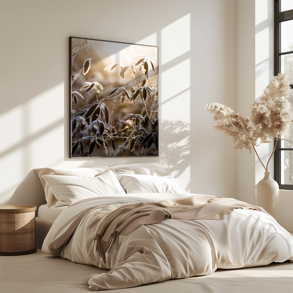 A Winter Morning 6 | Poster