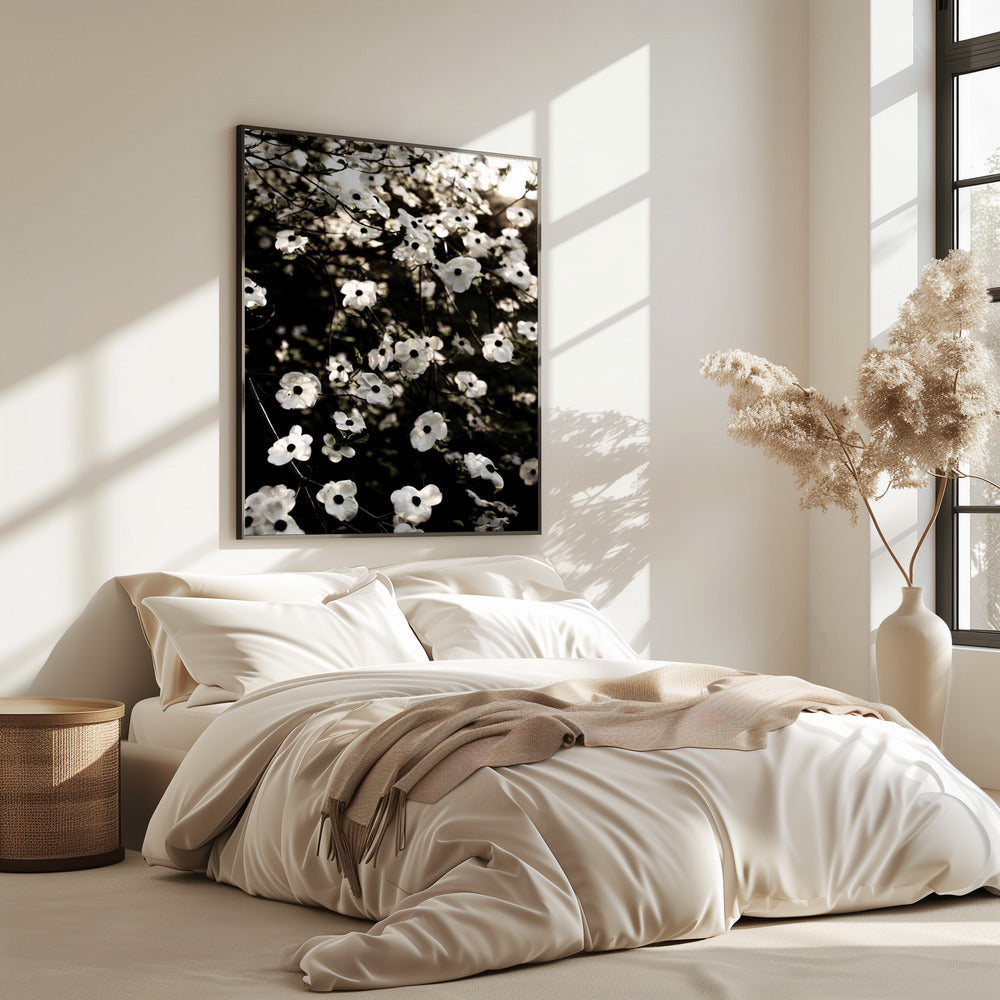 White Spring Tree 5 | Poster