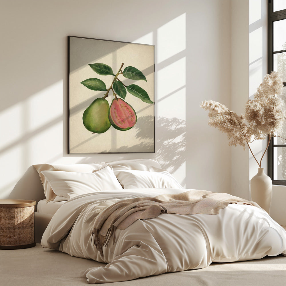 Vintage guava | Poster